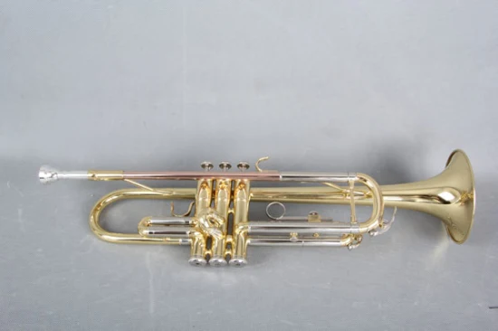 Trumpet/ Bb Trumpet/ Brass / Musical Instruments / Tr