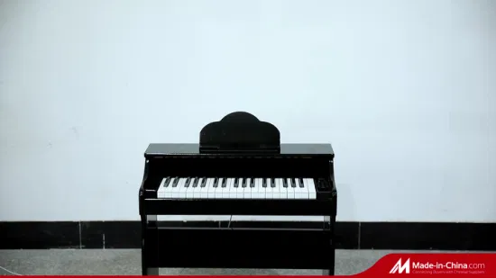 Customized Wooden Piano Musical Instruments for Children