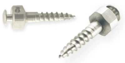 Dental Orthodontic Micro Screw/Orthodontic Self