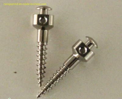 Dental Instrument Stainless Steel Micro Screw